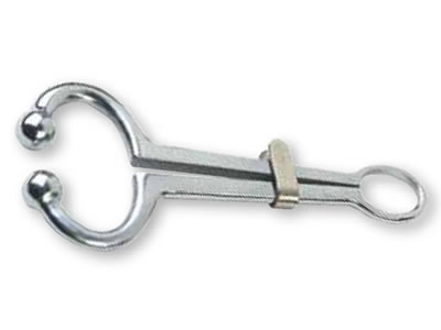 Bull Holder